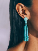 Greer Tassel Earrings in Turquoise