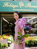 Tibi Dress in Foxglove Silk Organza
