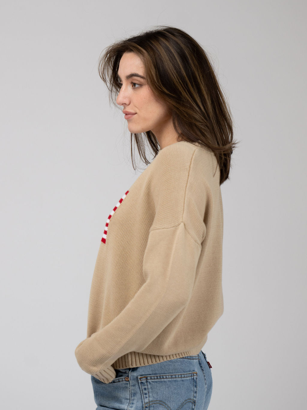 American Flag Sweater in Tan