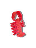 Lobster Claw Hair Clip