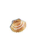 Mini Seashell Claw Hair Clip in Mother of Pearl
