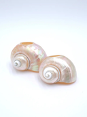 Seashell Napkin Rings | Set of 4