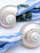 Seashell Napkin Rings | Set of 4
