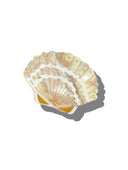Hand-Painted Seashell Claw Hair Clip in Pink