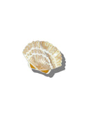 Hand-Painted Seashell Claw Hair Clip in Golden Sands
