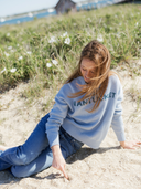 Nantucket Sweater in Blue