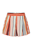 The Ali Shorts in Multi Stripes