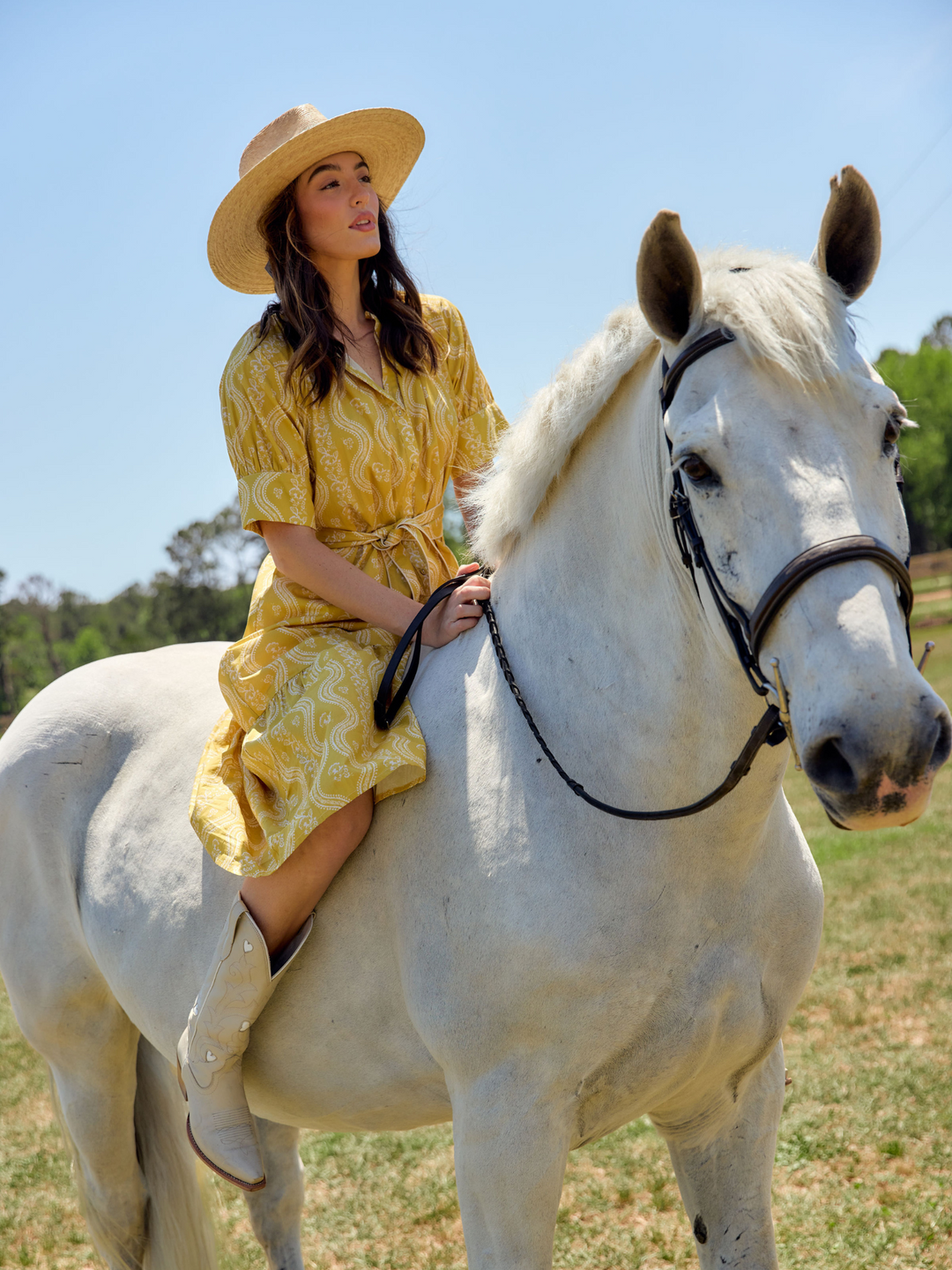 The Jane Dress | Marigold Virginia Stripe