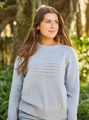 Monochrome American Flag Sweater in Light Blue