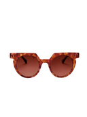 Aster Amaro Breeze Sunglasses