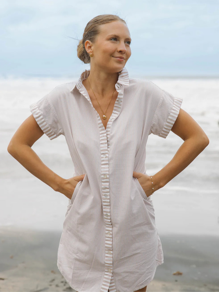 Riga Short Sleeve Short Dress in Tan Stripes