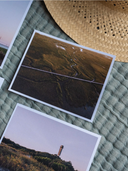 Marsh Walk Postcard