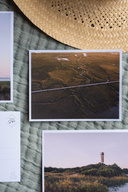 Marsh Walk Postcard
