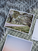 Oak Avenue Postcard