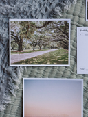 Oak Avenue Postcard