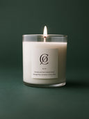 S. 01 Charleston Christmas Soy Candle