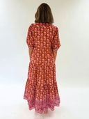 Alicia Bell Dress Catlyn Maxi in Brown & Pink Flower