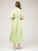 Beau & Ro Dress The Elle Maxi Dress | Lime Ikat