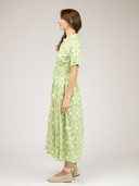 Beau & Ro Dress The Elle Maxi Dress | Lime Ikat