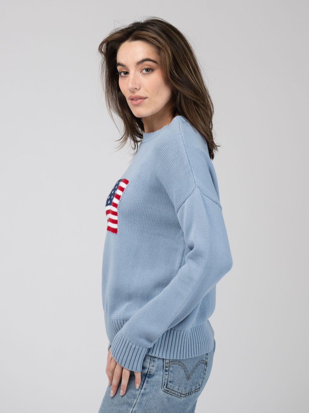 Beau & Ro Sweater American Flag Sweater in Light Blue