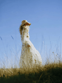 byTiMo Dress Organza Belt Dress in Watercolour Dreams