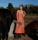 Cleobella Dress Miralani Midi Dress in Solara Print