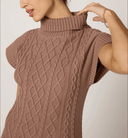 Cleobella Dress Shana Midi Dress in Woodrose