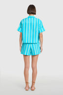 Livro Dress Pool Shorts in Surf Stripes