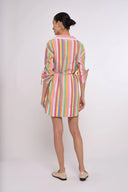 Love the Label Dress Shannon Mini Dress in Surya Stripe