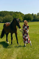 Olivia by Livro Dress Gwenyth Dress in Mesa Palette