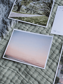 The Sunset Shop Post Cards Folly Blushing Postcard