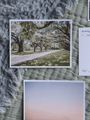 The Sunset Shop Post Cards Oak Avenue Postcard