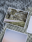 The Sunset Shop Post Cards Oak Avenue Postcard