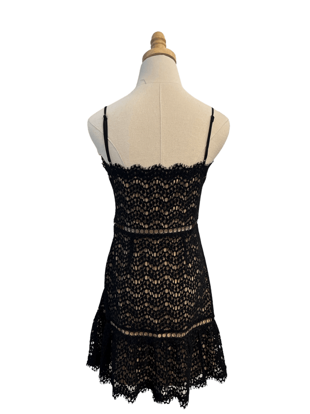 Saylor Apparel Saylor | Marianna Velvet Scallop Lace Mini Dress